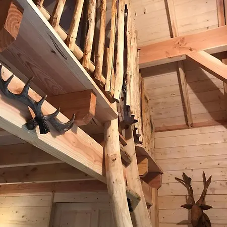 Cabane Perchee 营地 Maisse