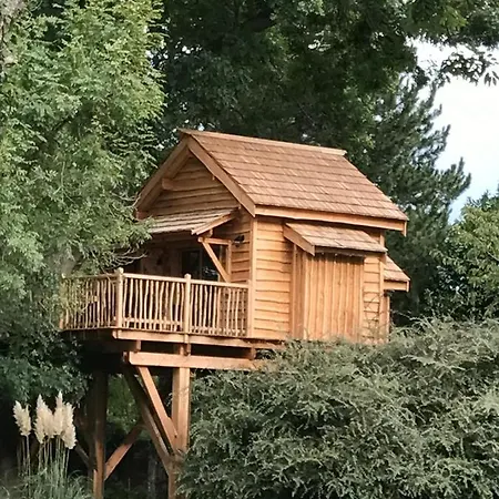 Cabane Perchee